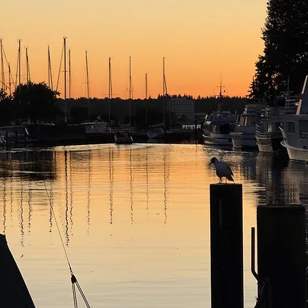 Direkt Am Der Ostsee