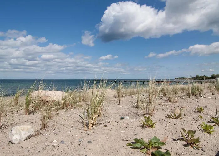 Direkt Am Der Ostsee Διαμέρισμα *